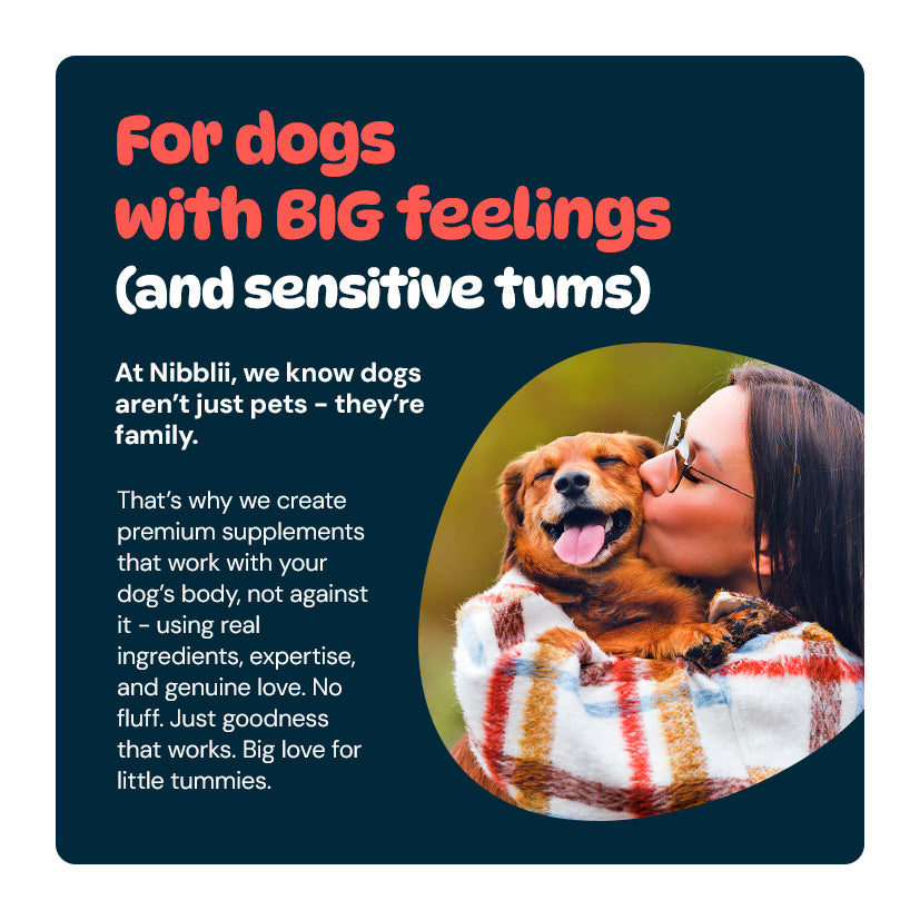 Sensitive Stomach Dog Probiotics - Firmer Stools and Happy Tummies | With Cranberry & Chicory | 3.4 Billion CFU Soft Chews | Pre, Pro & Postbiotics | Nibblii Tummy Troopers