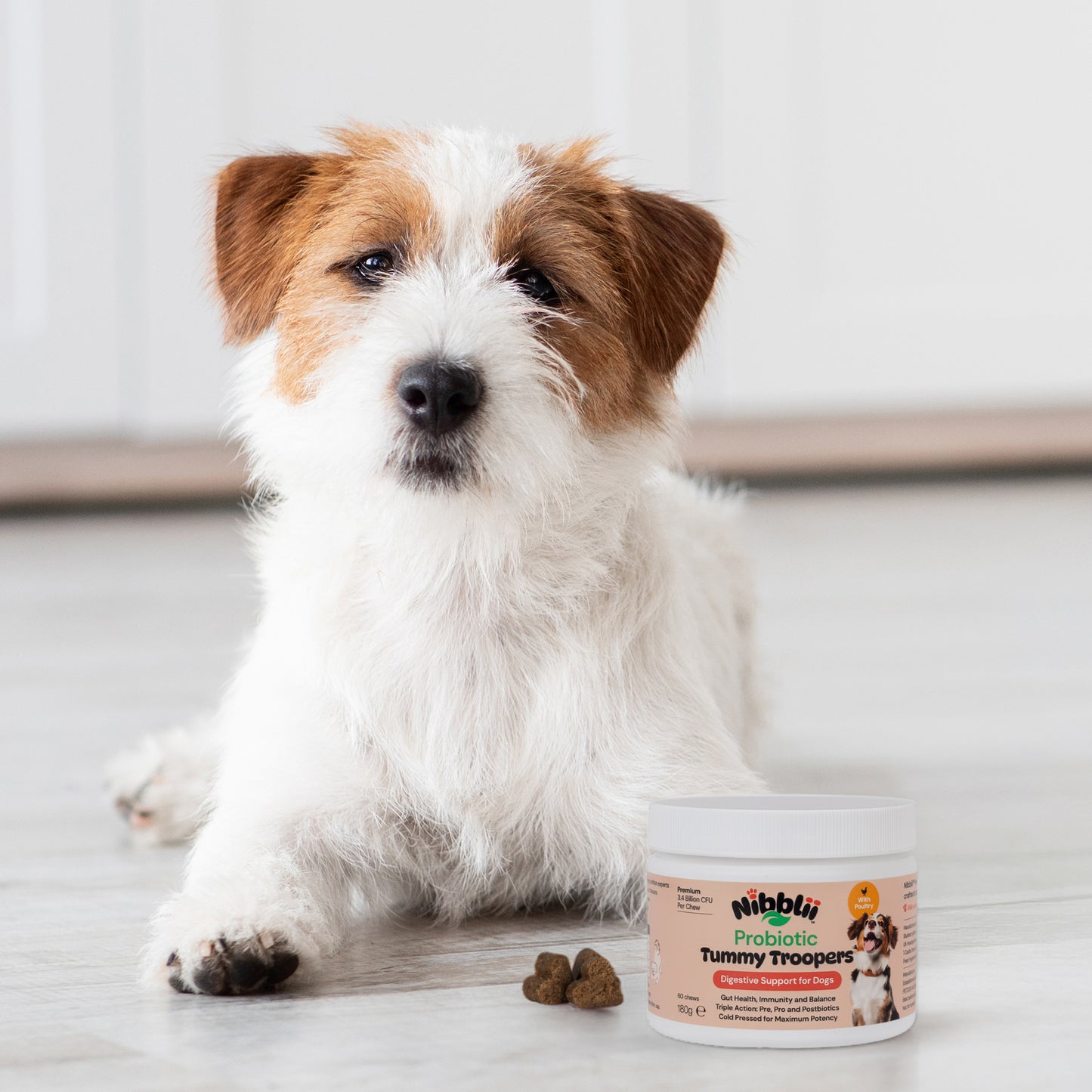 Nibblii Tummy Troopers | Probiotic Dog Chews | Digestive Support | Triple-Action 3.4 billion CFU