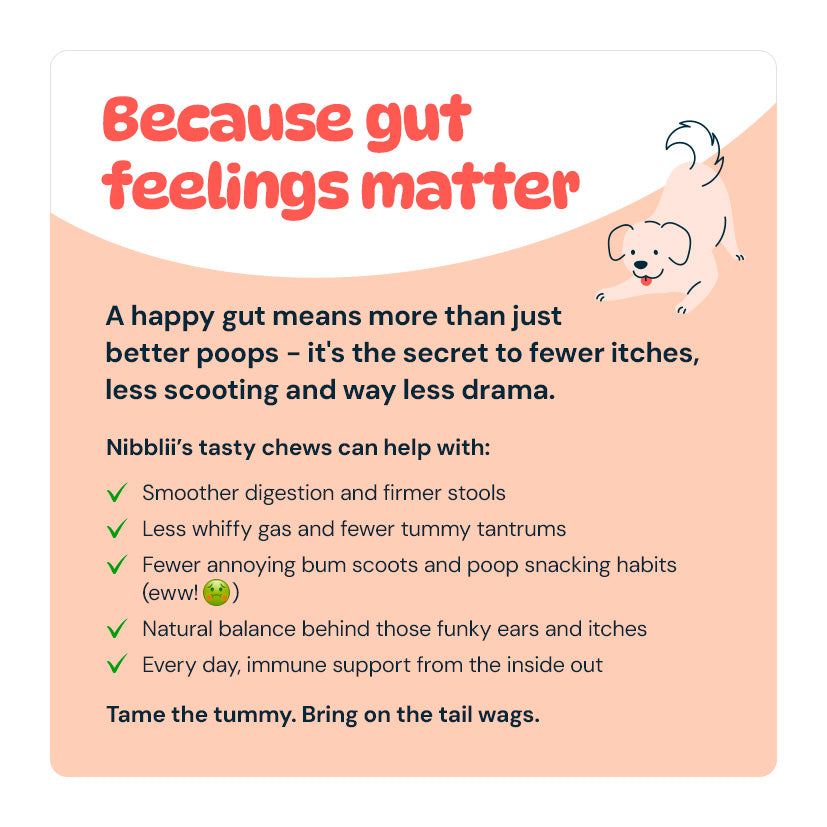 Nibblii Tummy Troopers | Probiotic Dog Chews | Digestive Support | Triple-Action 3.4 billion CFU