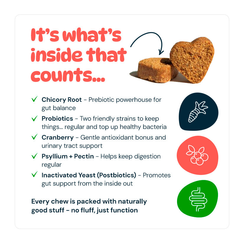 Nibblii Tummy Troopers | Probiotic Dog Chews | Digestive Support | Triple-Action 3.4 billion CFU